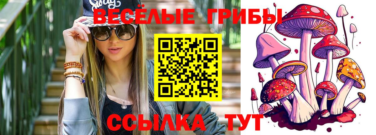 Псилоцибиновые грибы прущие грибы Стрежевой