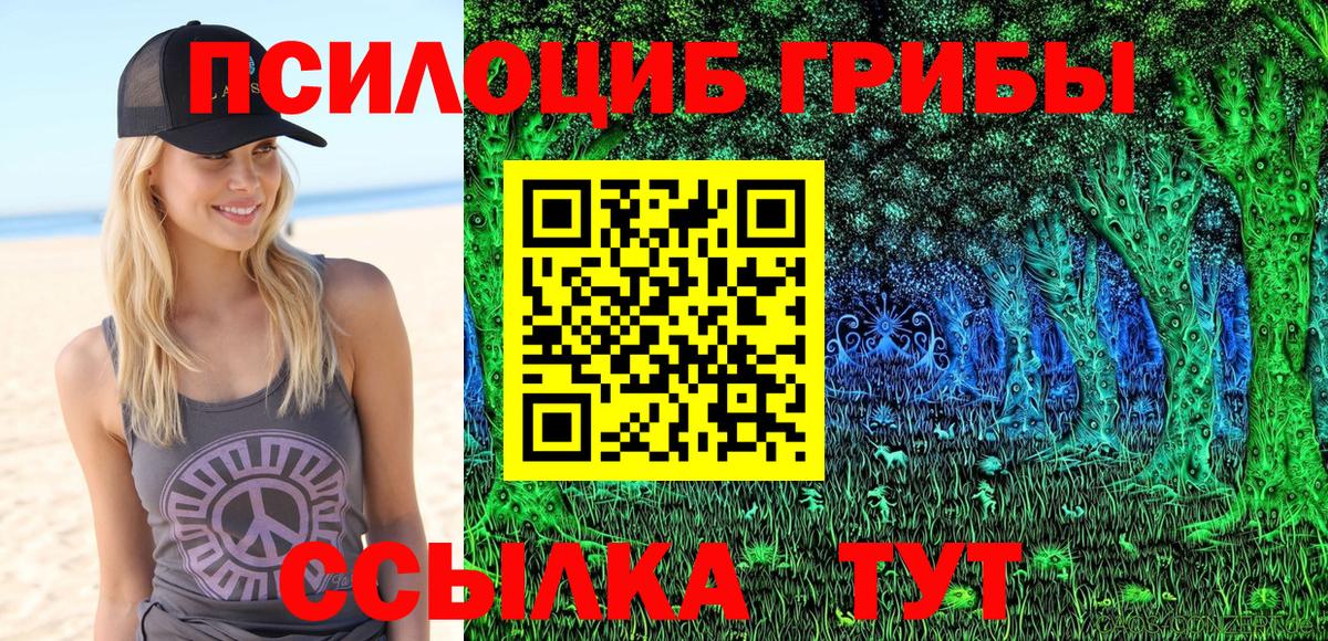 Псилоцибиновые грибы GOLDEN TEACHER  Вход с VPN  Стрежевой  Галлюциногенные грибы Psilocybe 